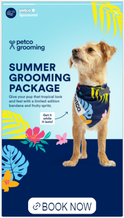 An advertisement for Petco's summer grooming package, featuring a dog in a tropical bandana.